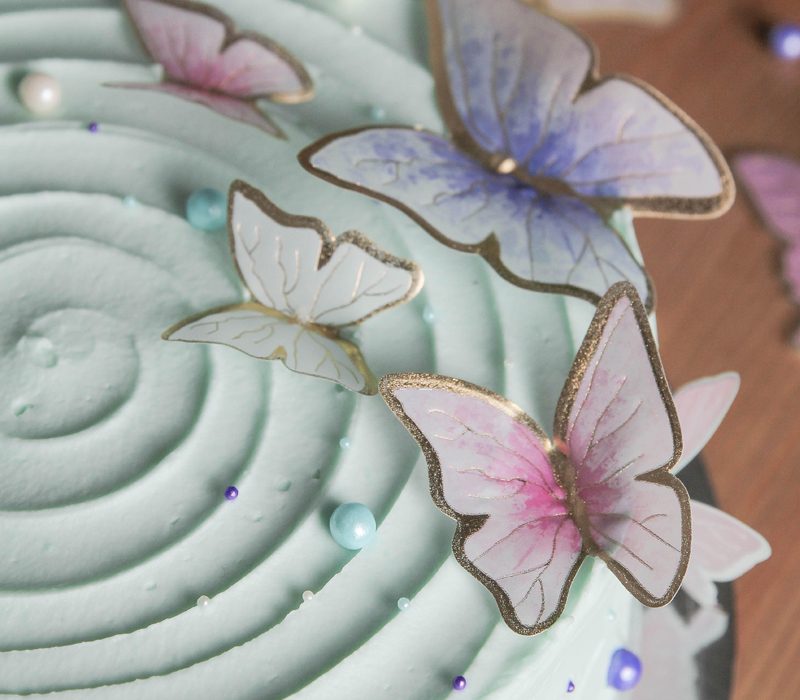 Butterfly-Cake-Gallery1